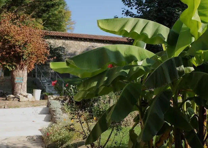 Hôtel Colombié 2* Gorses